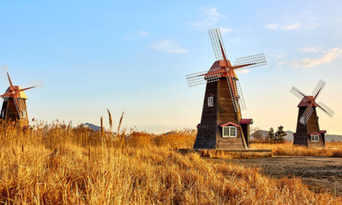 The Windmill Personality; buffeted by the Storms of Life
